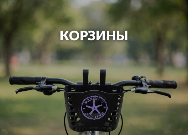 Корзины