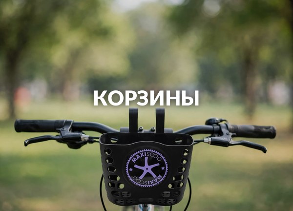 Корзины