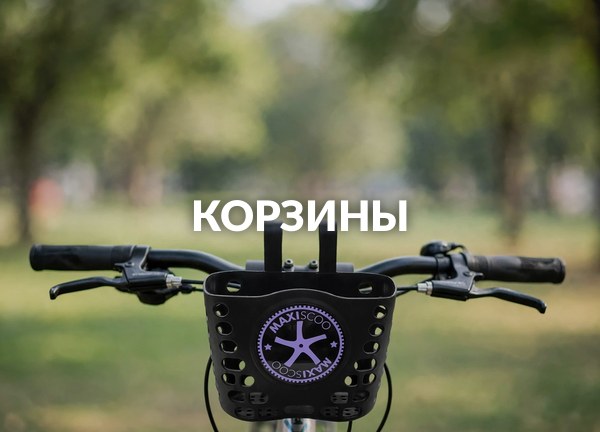 Корзины