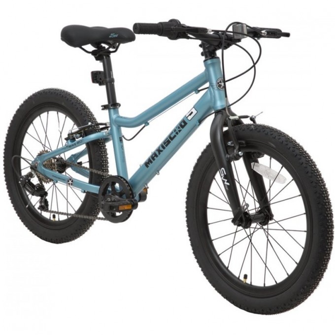Велосипед детский MAXISCOO "5BIKE" 20'' L Аквамарин (2024) MSC-M5-2004 Велосипед детский MAXISCOO "5BIKE" 20'' L Аквамарин (2024) MSC-M5-2004